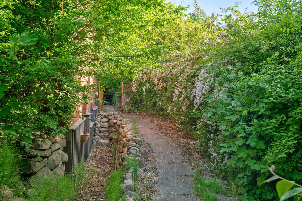 image 04