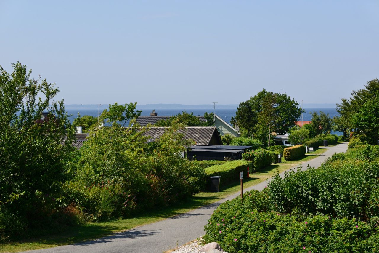 image 02