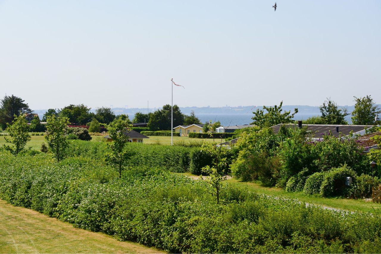image 01