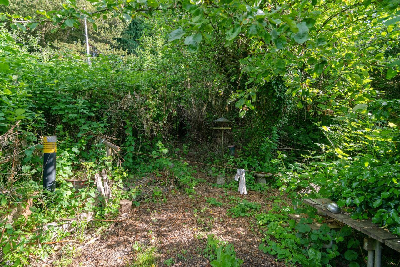 image 03